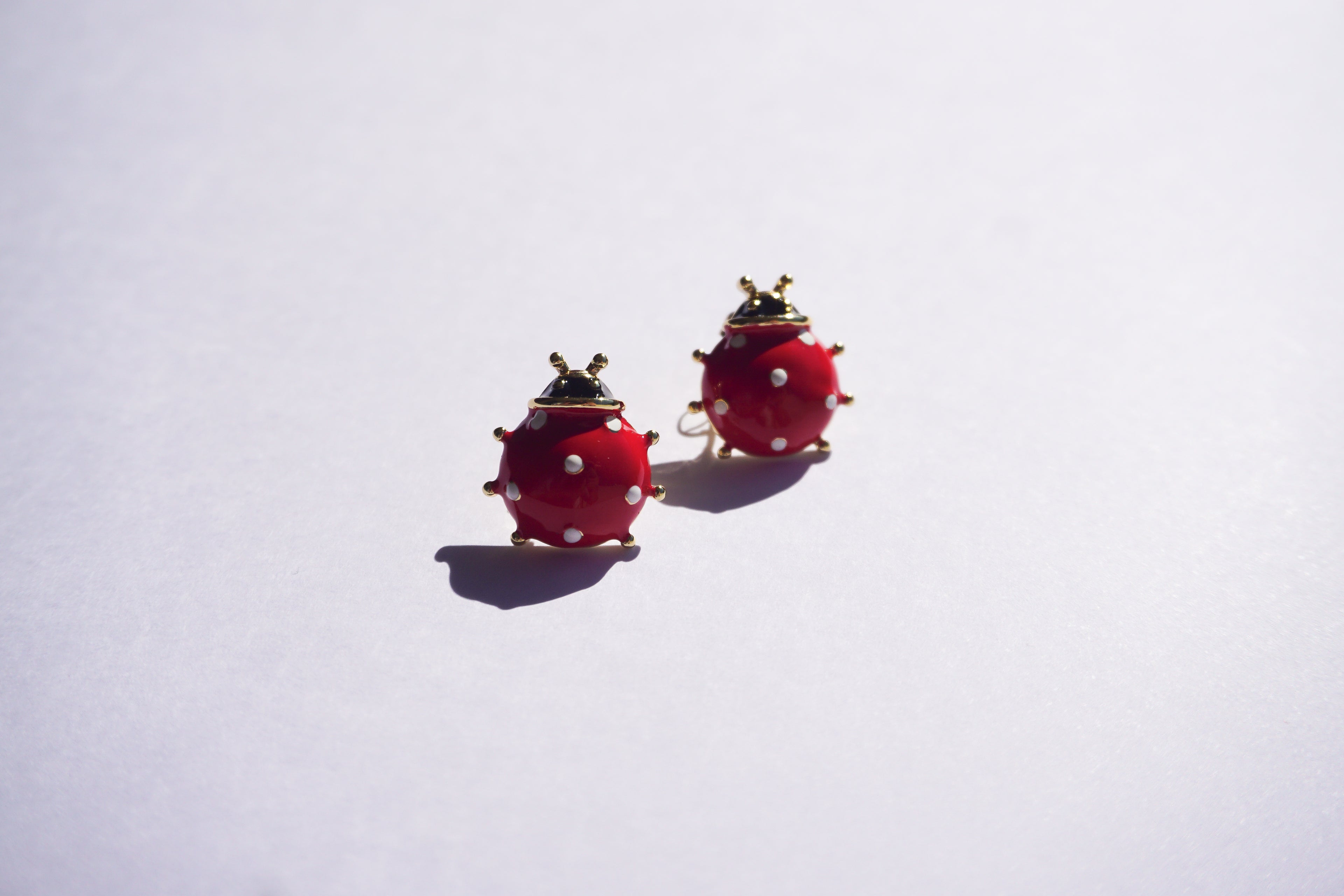 Broquel catarinas rojas