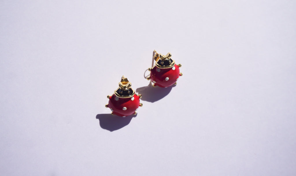 Broquel catarinas rojas