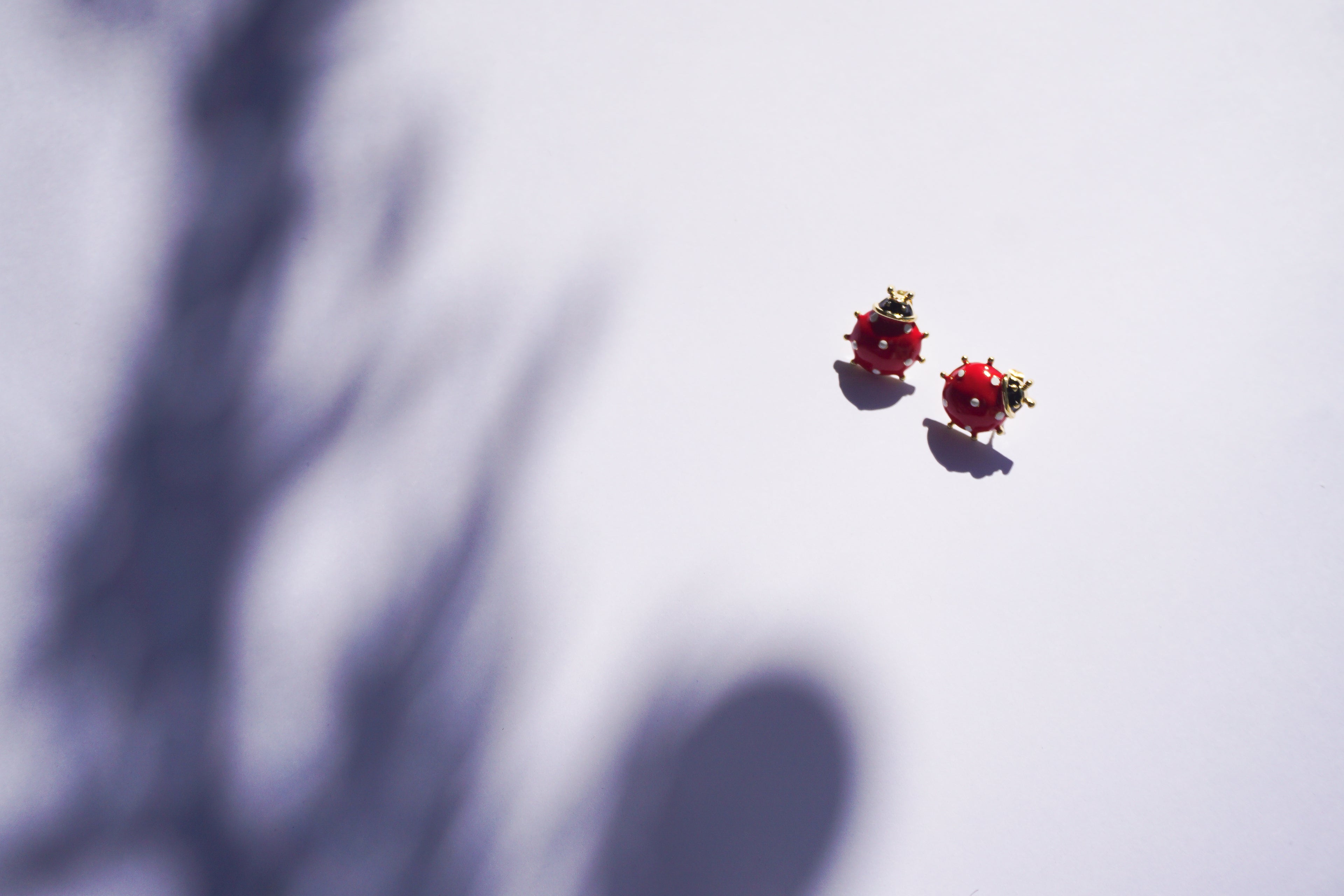 Broquel catarinas rojas