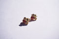 Broquel mini abejas rojas