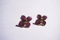 Broquel flor rosa