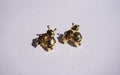 Broquel insecto con zirconias rosas