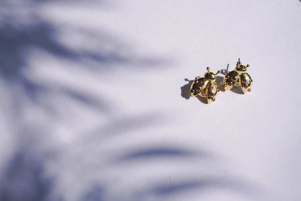 Broquel insecto con zirconias rosas