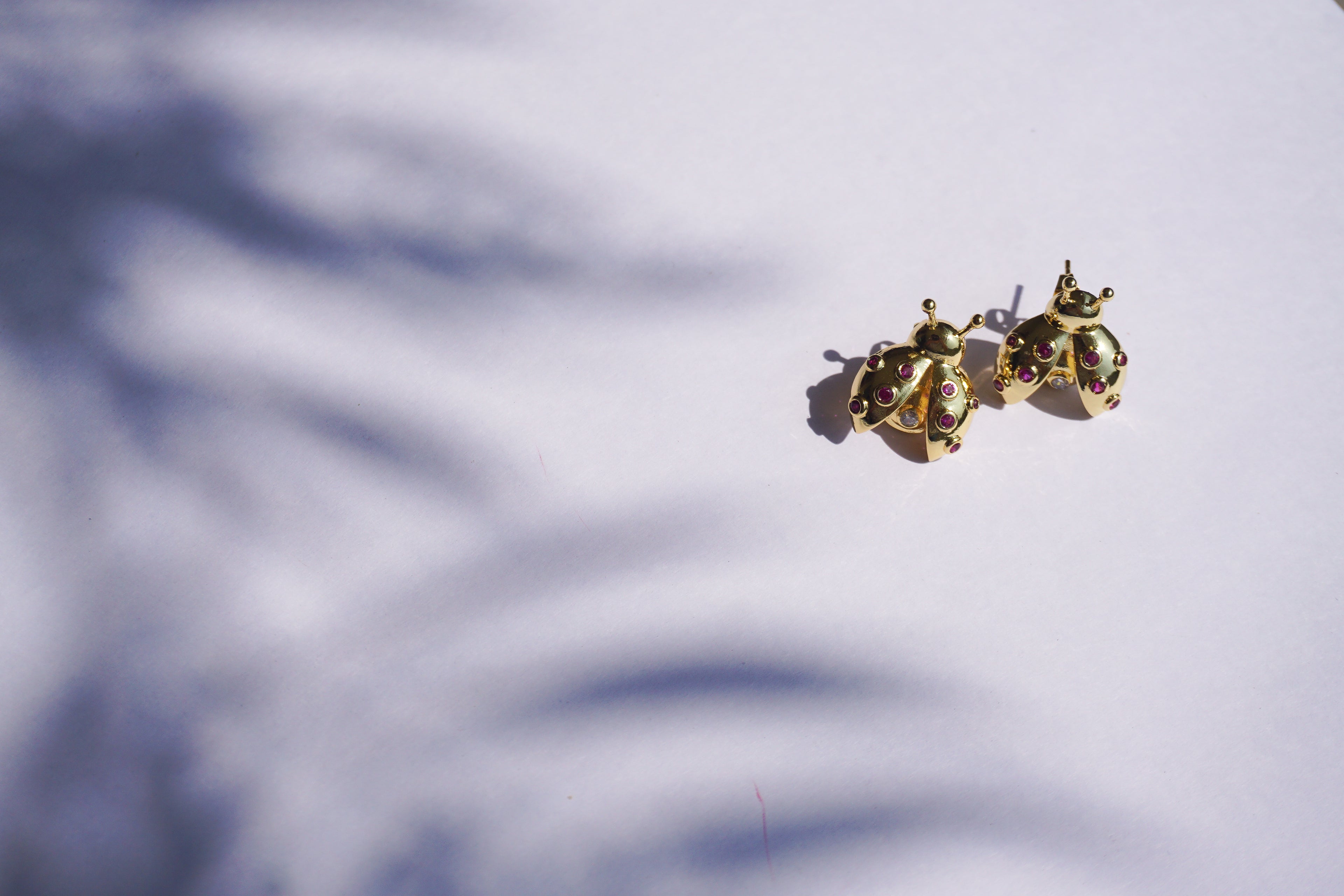 Broquel insecto con zirconias rosas