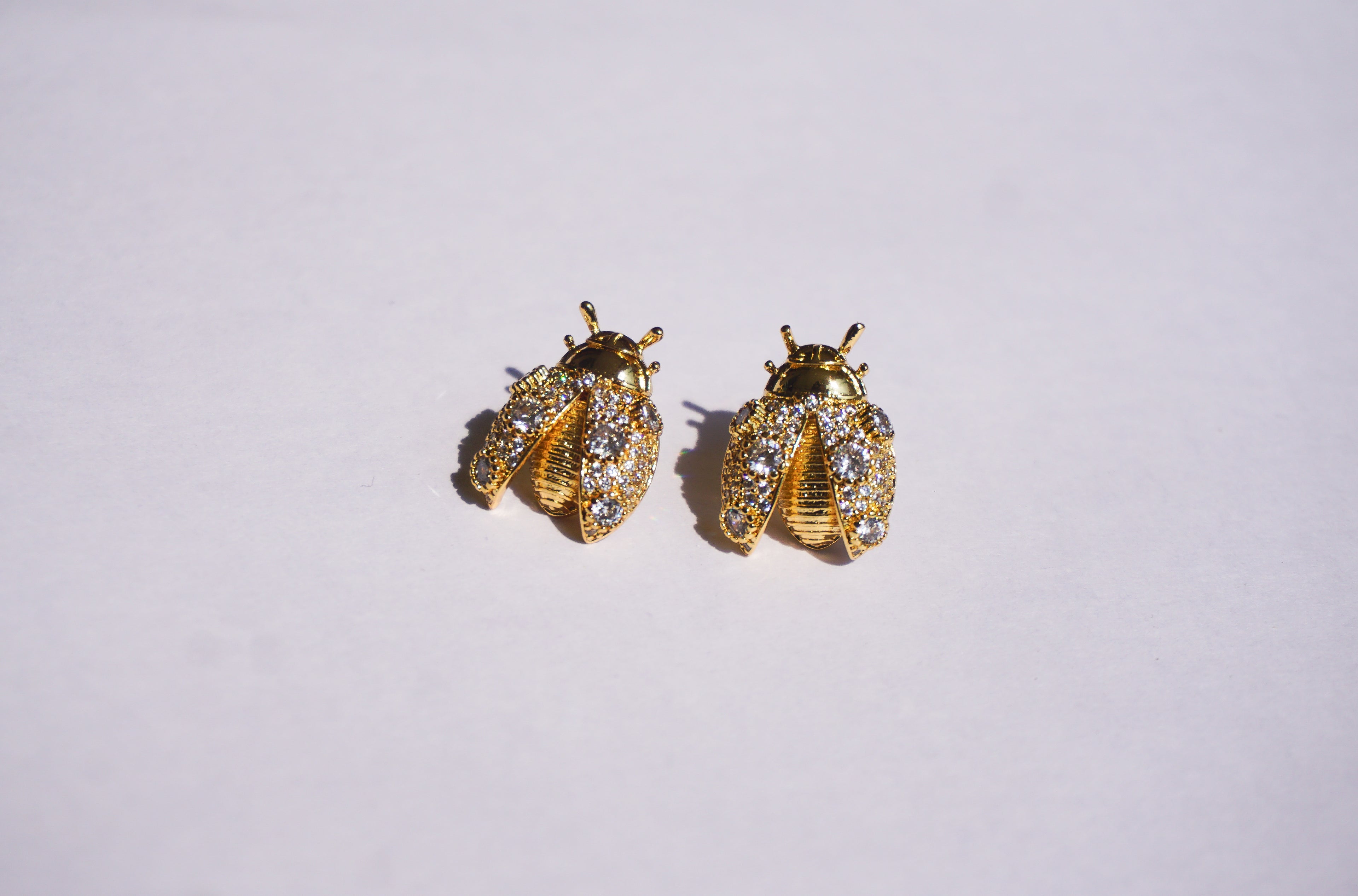 Broquel insecto dorado