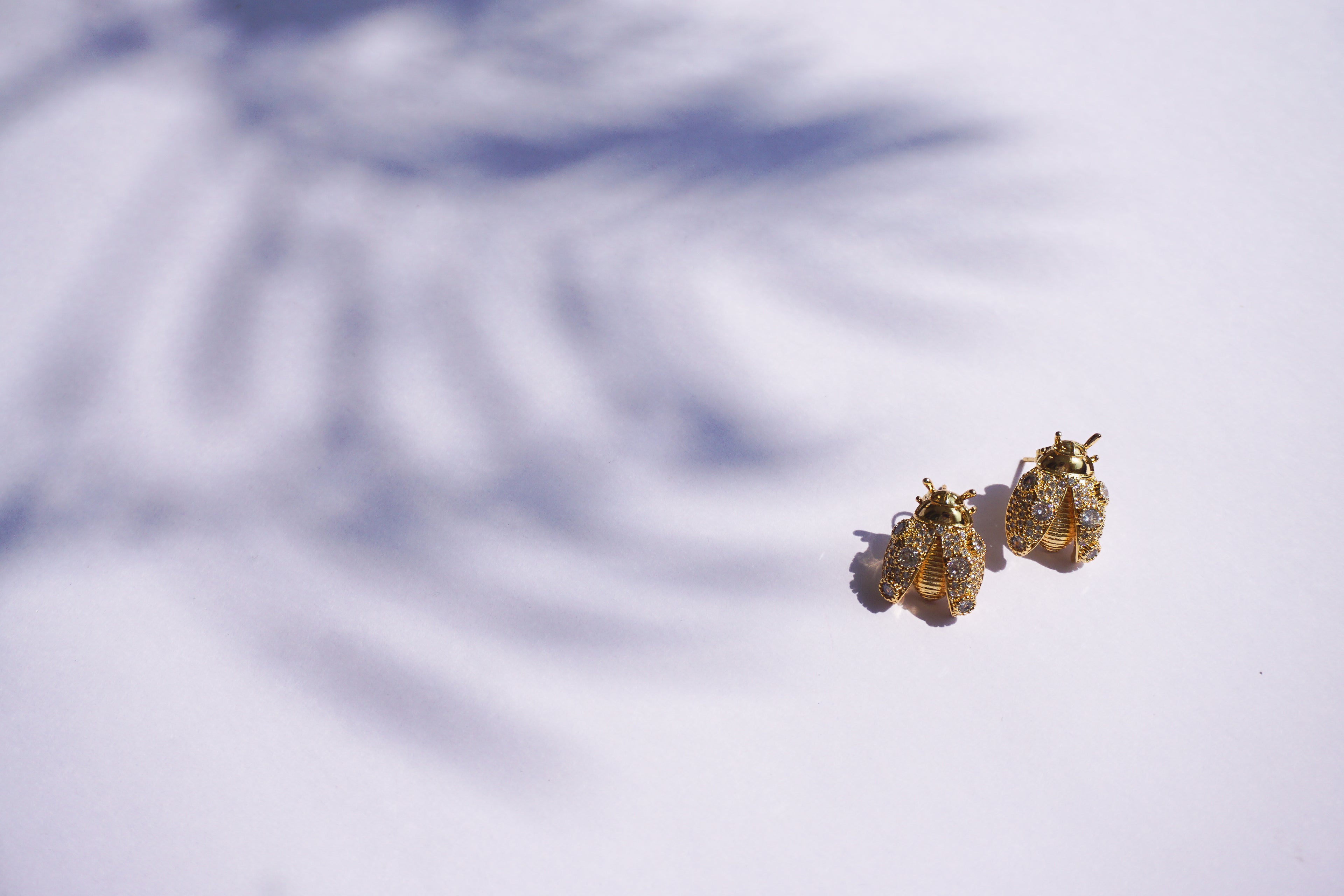 Broquel insecto dorado